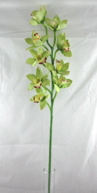 Artificial Cymbidium Orchid (Real Touch)
