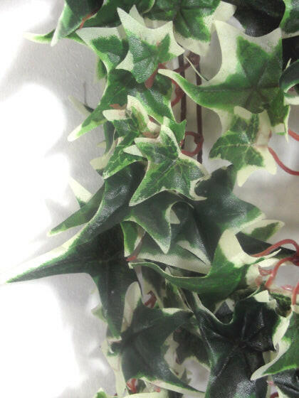 Artificial Silk Trailing Star Ivy