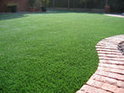 Artificial Luxury Lawn Grass