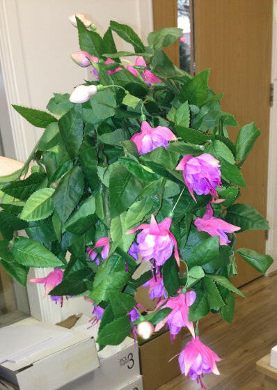 Artificial Silk Trailing Fuchsia