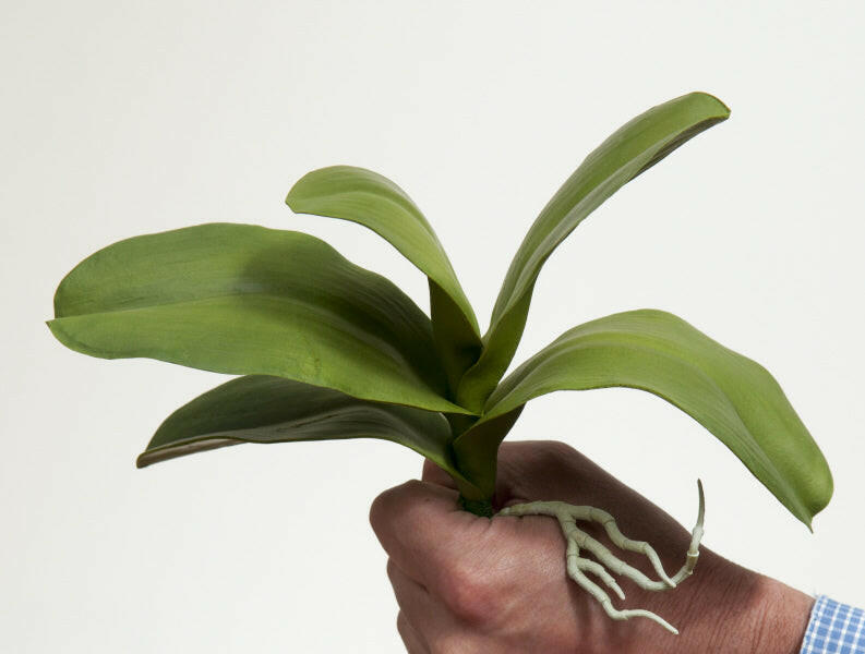Artificial Phalaenopsis Leaf Spray
