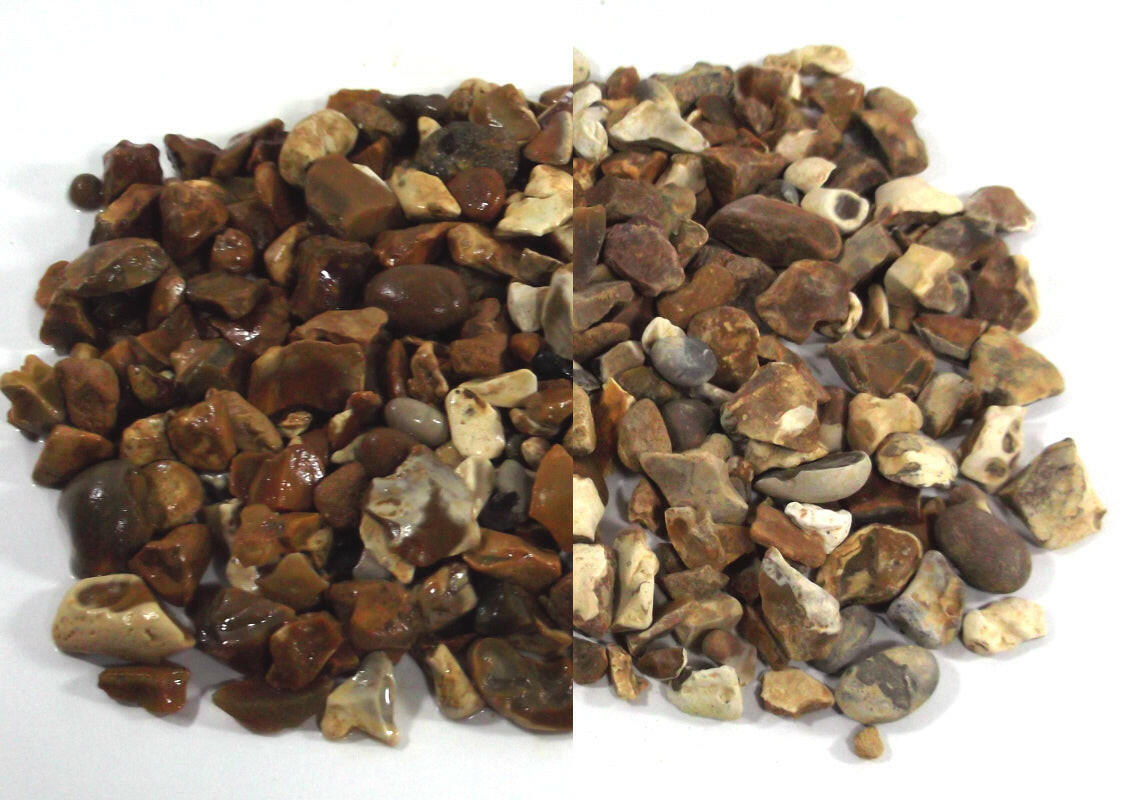 Marigold Yellow/York Gold Chips