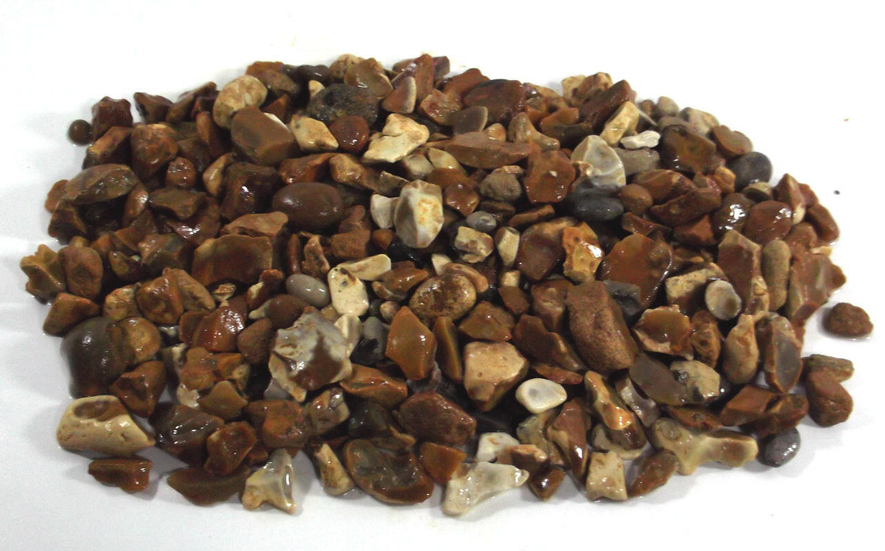 Marigold Yellow/York Gold Chips