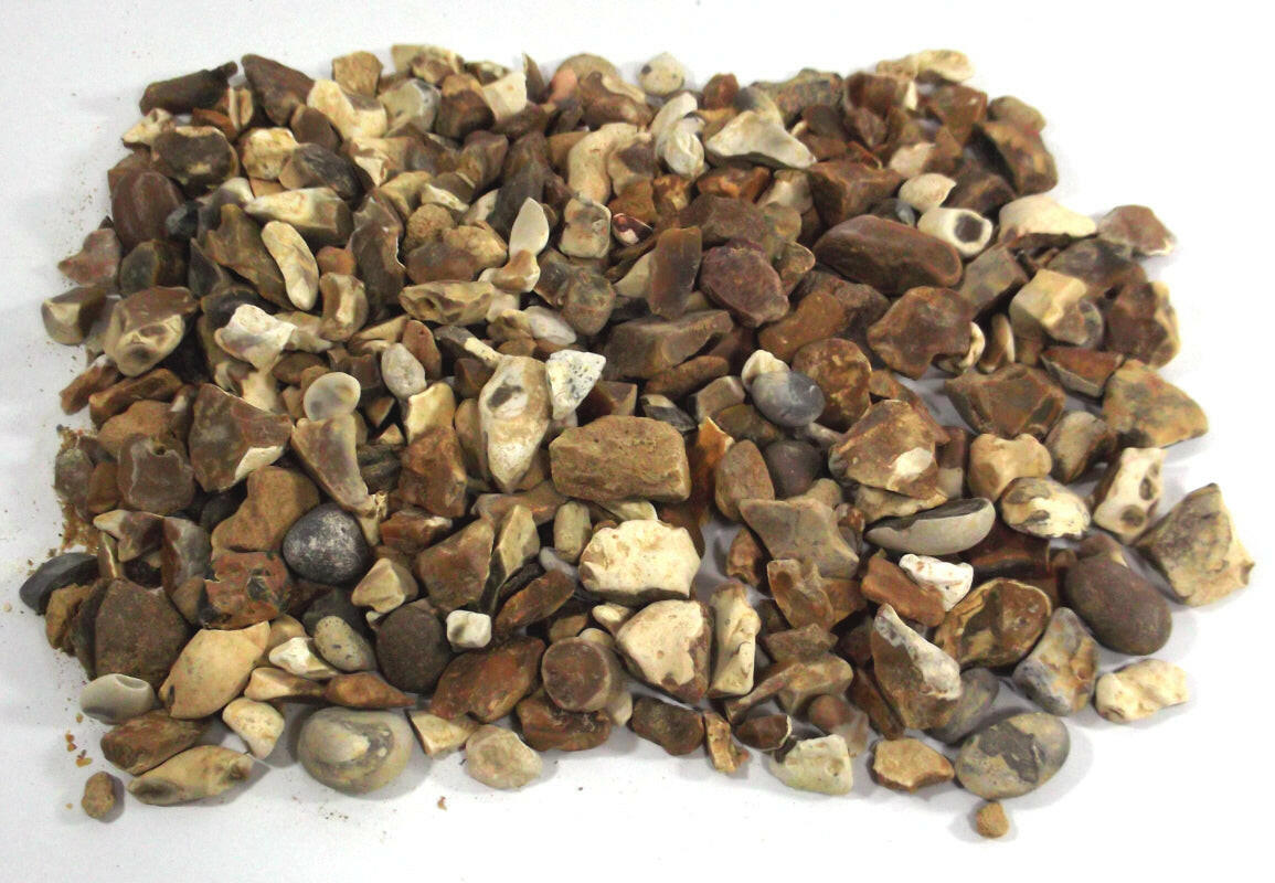 Marigold Yellow/York Gold Chips