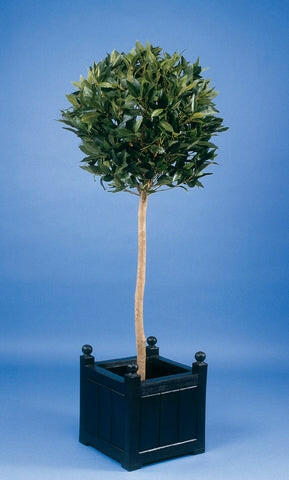 Artificial Silk Bay Ball Tree