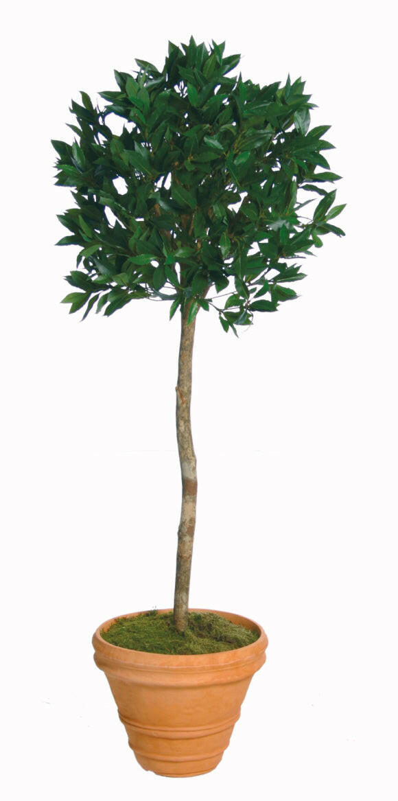 Artificial Silk Bay Ball Tree