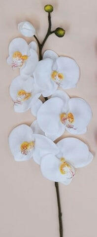 Artificial Phalaenopsis Spray Single Stem