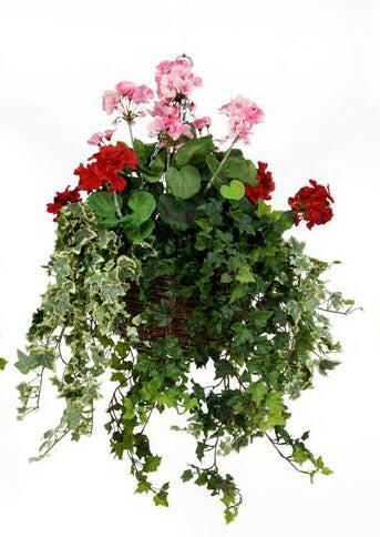 Artificial Silk Geranium Large Hanging Basket