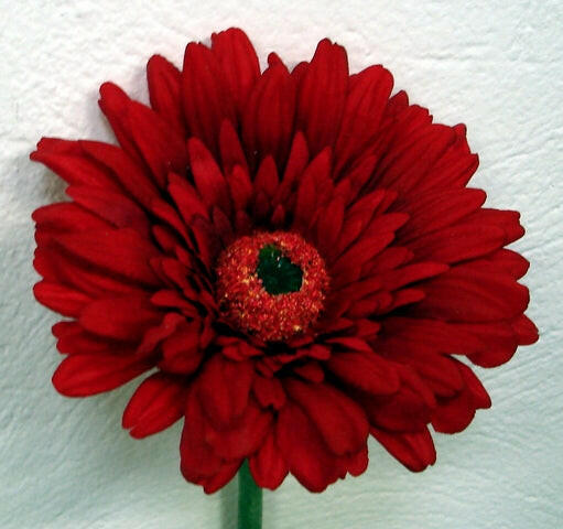 Artificial Silk Gerbera Deluxe Flowers (Real Touch)