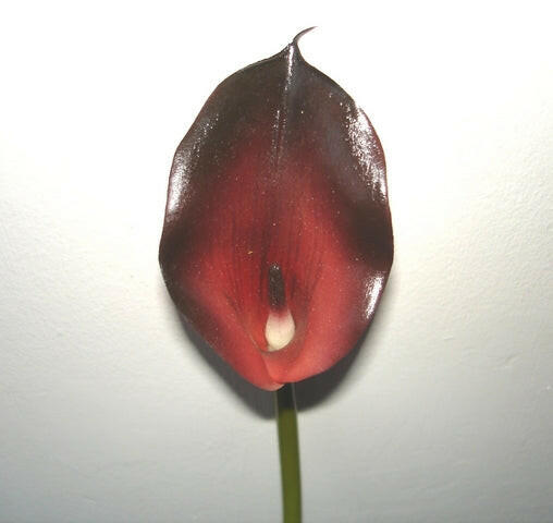 Artificial Calla Lily