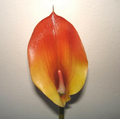 Artificial Calla Lily