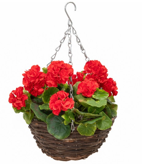 Hanging basket with red flowers and green leaves on a white background