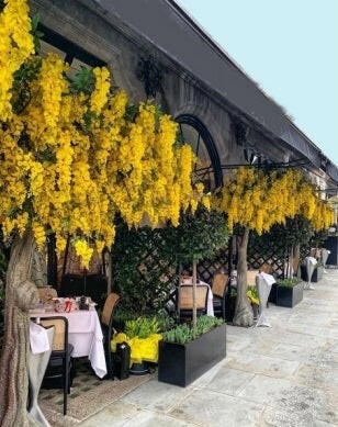 Justartificial.co.uk Wisteria Branch shown instu on a trunk
