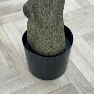 Bespoke Natural Olive Tree FR 230cm Carriage Pot