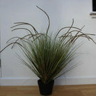 Artificial Timothy Grass in Black Pot