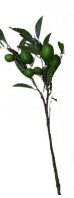 Artificial Lime Fruit Spray