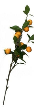 Artificial Mandarin Fruit Spray