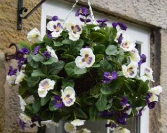 Artificial Hanging Baskets for the Spring and Summer