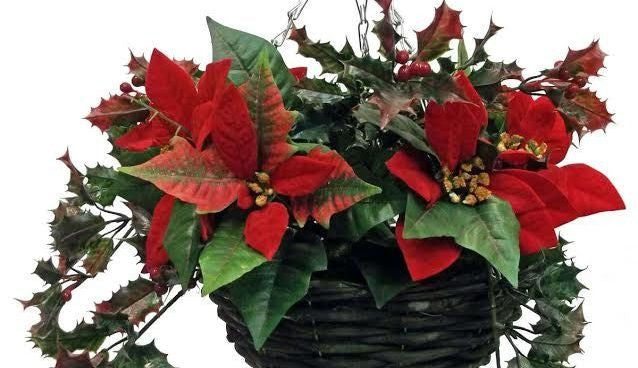 Getting Ready for Christmas