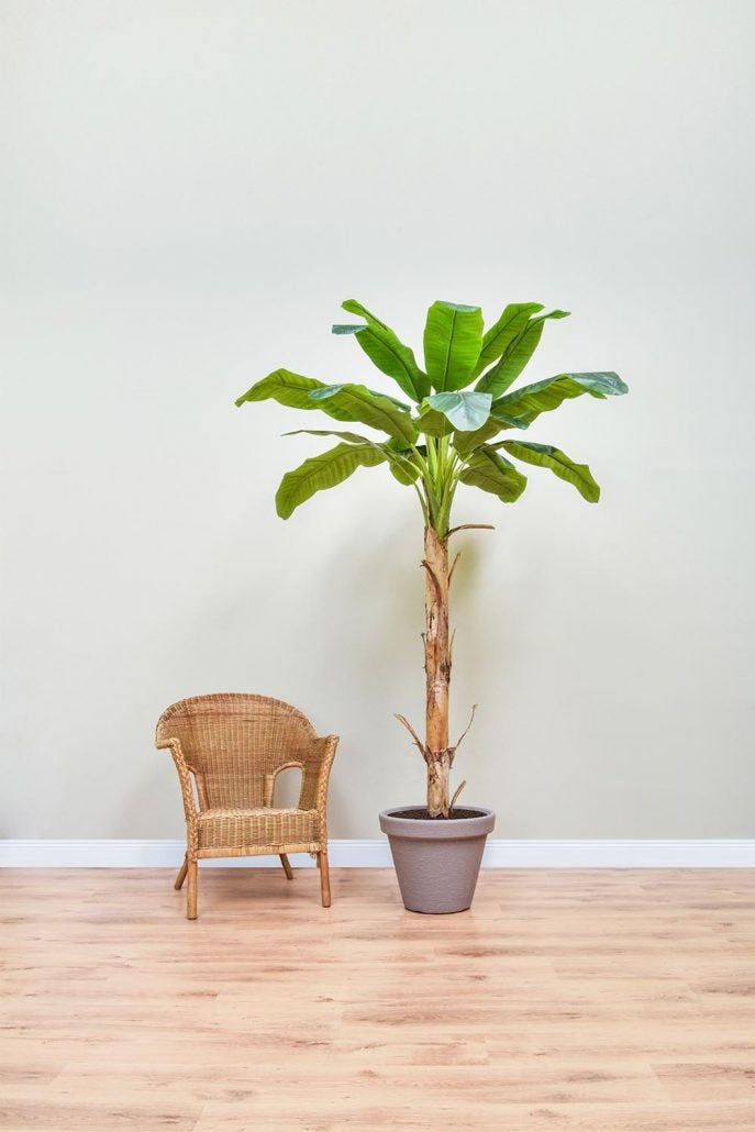 Get ready for the changing seasons and festive crowds