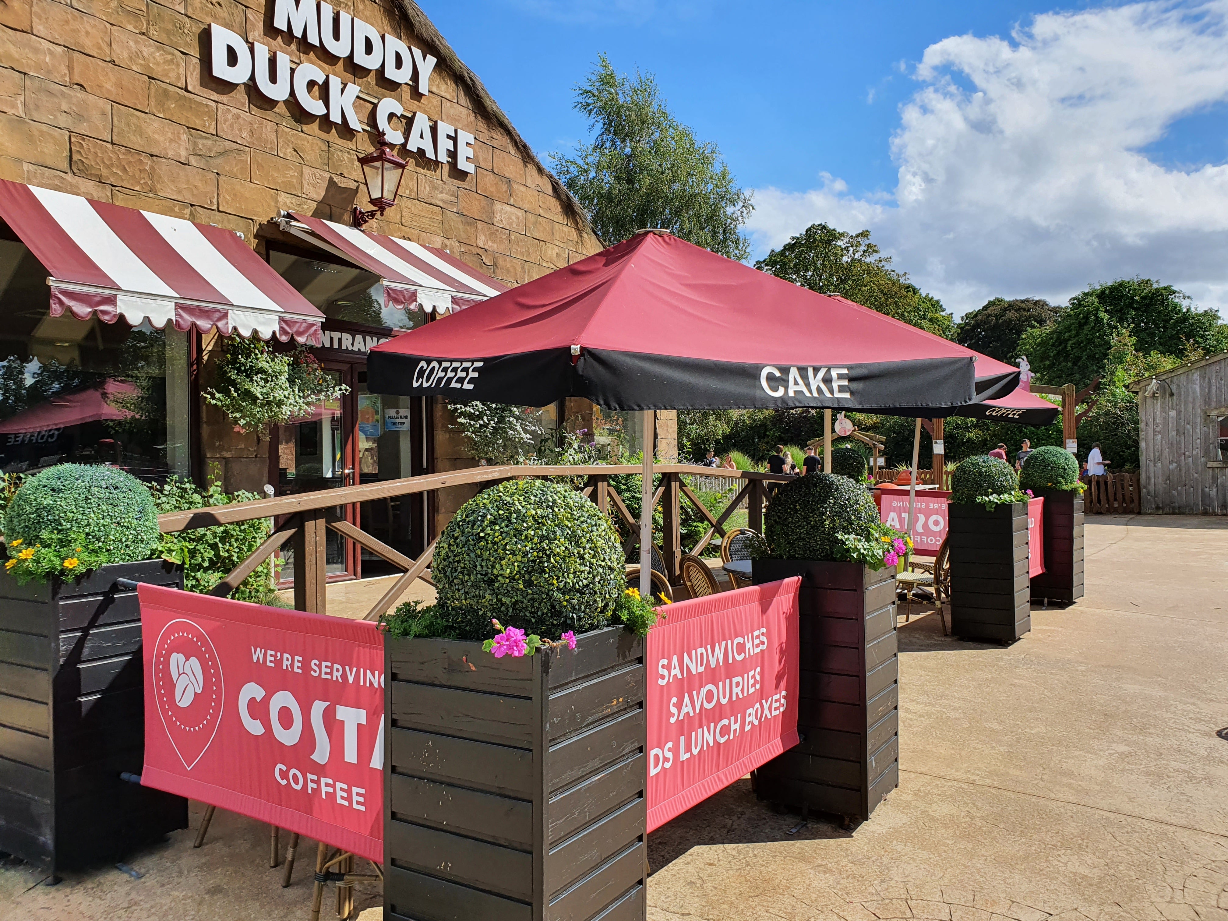 New Year, New Look: Brightening Up Your Spaces with Artificial Greenery