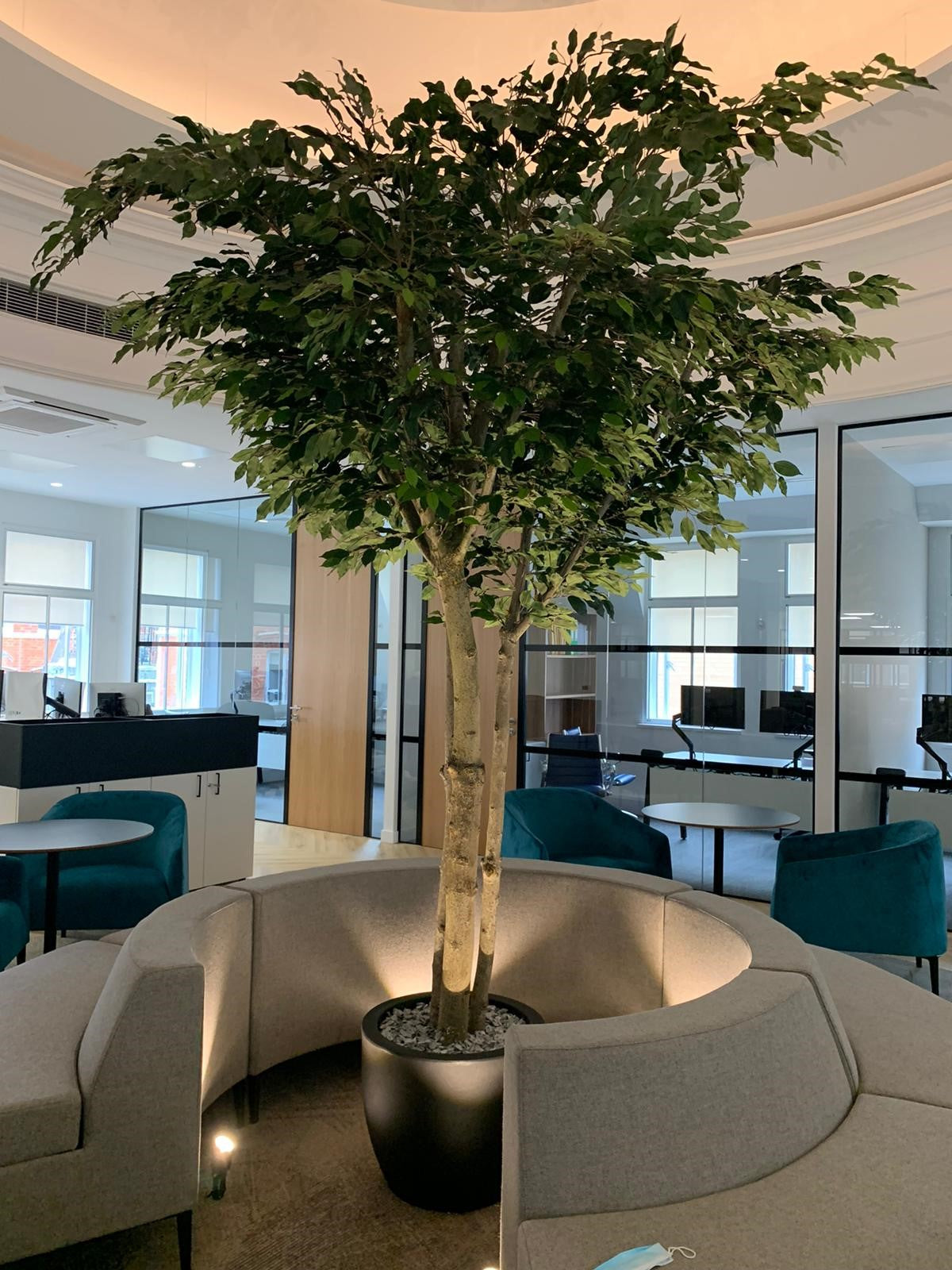 High Quality Artificial Plants & Trees