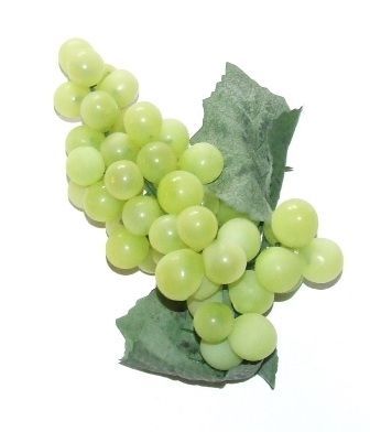 Artificial Food, Fruit and Fake Vegetables