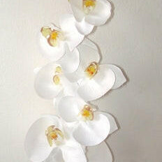 Artificial Silk Phalaenopsis Orchid Single Stem