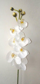 Artificial Silk Phalaenopsis Orchid Single Stem