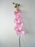 Artificial Silk Phalaenopsis Orchid Single Stem