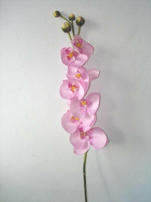 Artificial Silk Phalaenopsis Orchid Single Stem