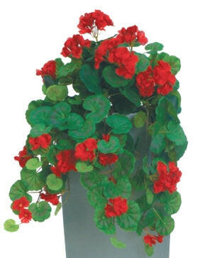 Artificial Silk Trailing Geranium Bush