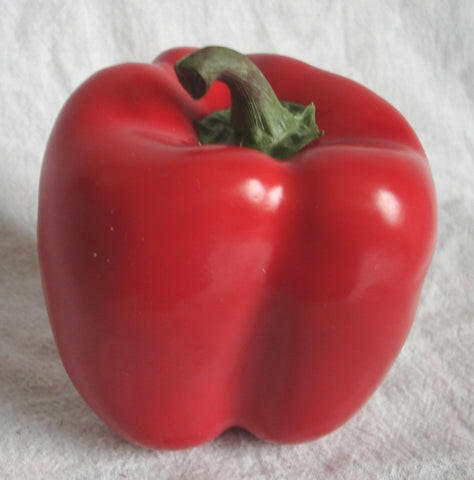 Artificial Pepper
