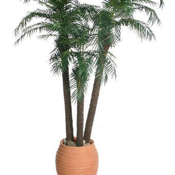 Artificial Robellini Palm Tree IFR