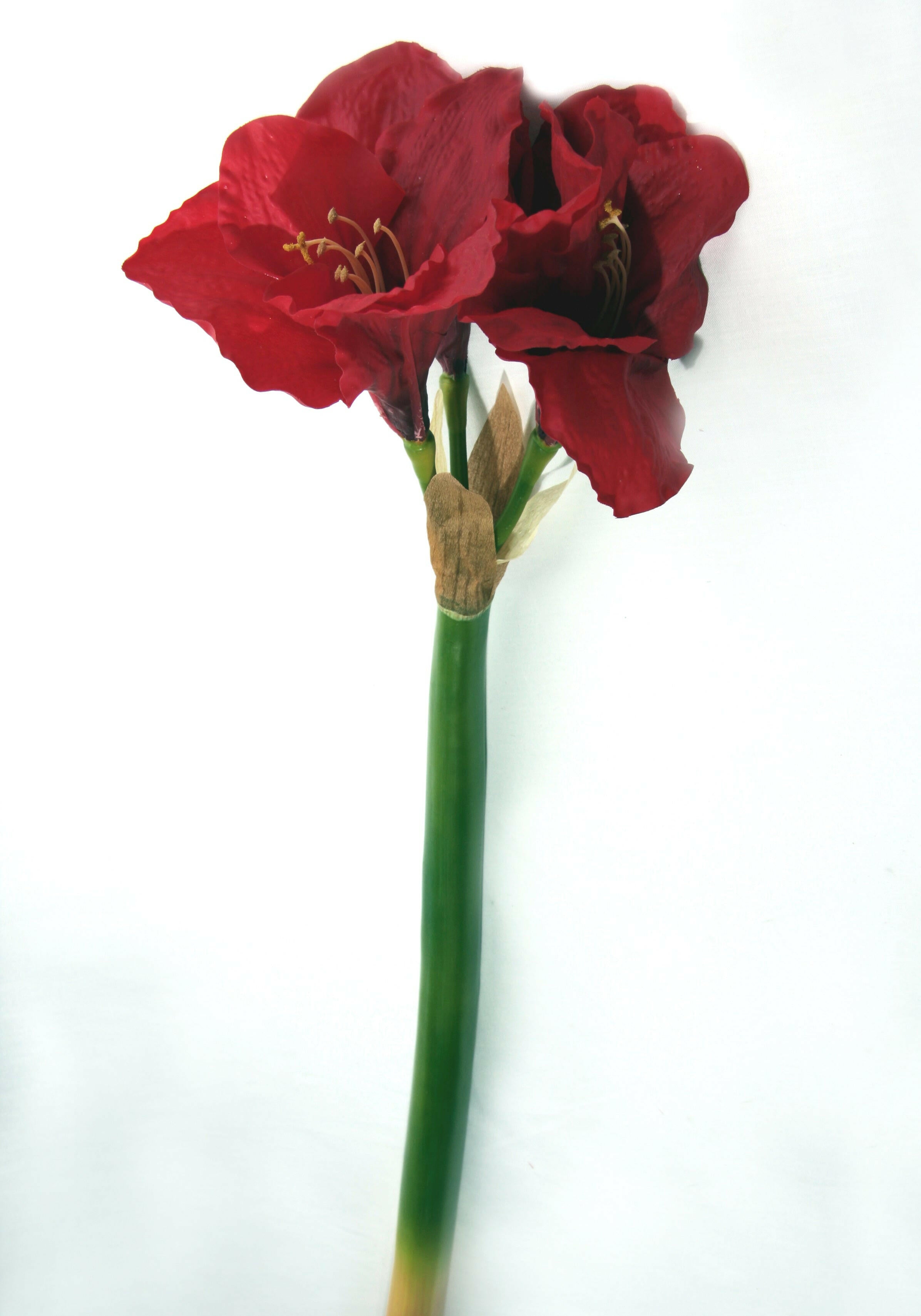 Artificial Silk Real Touch Amaryllis Single Stem Just Artificial