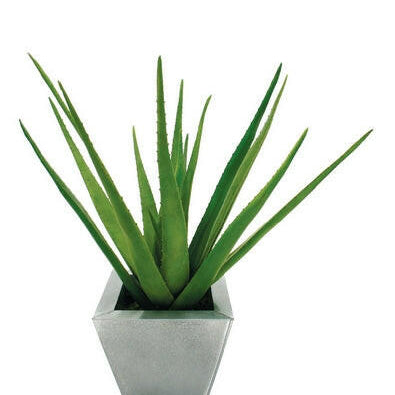 Artificial Silk Aloe Plant