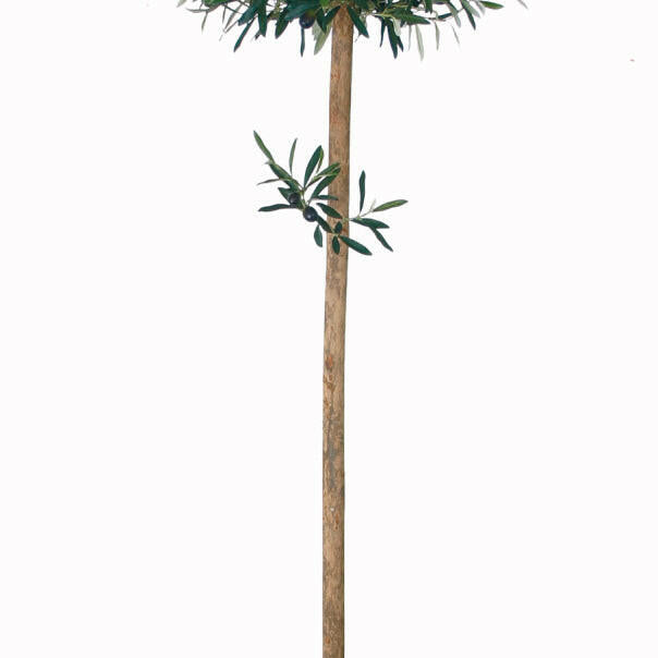 Artificial Silk Olive Ball Tree