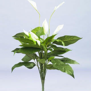 Artificial Silk Spathiphyllum Plant