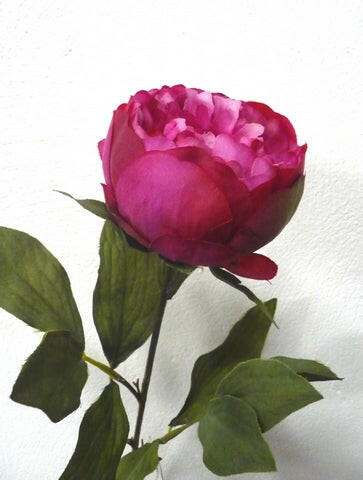 Artificial Silk Peony Flower