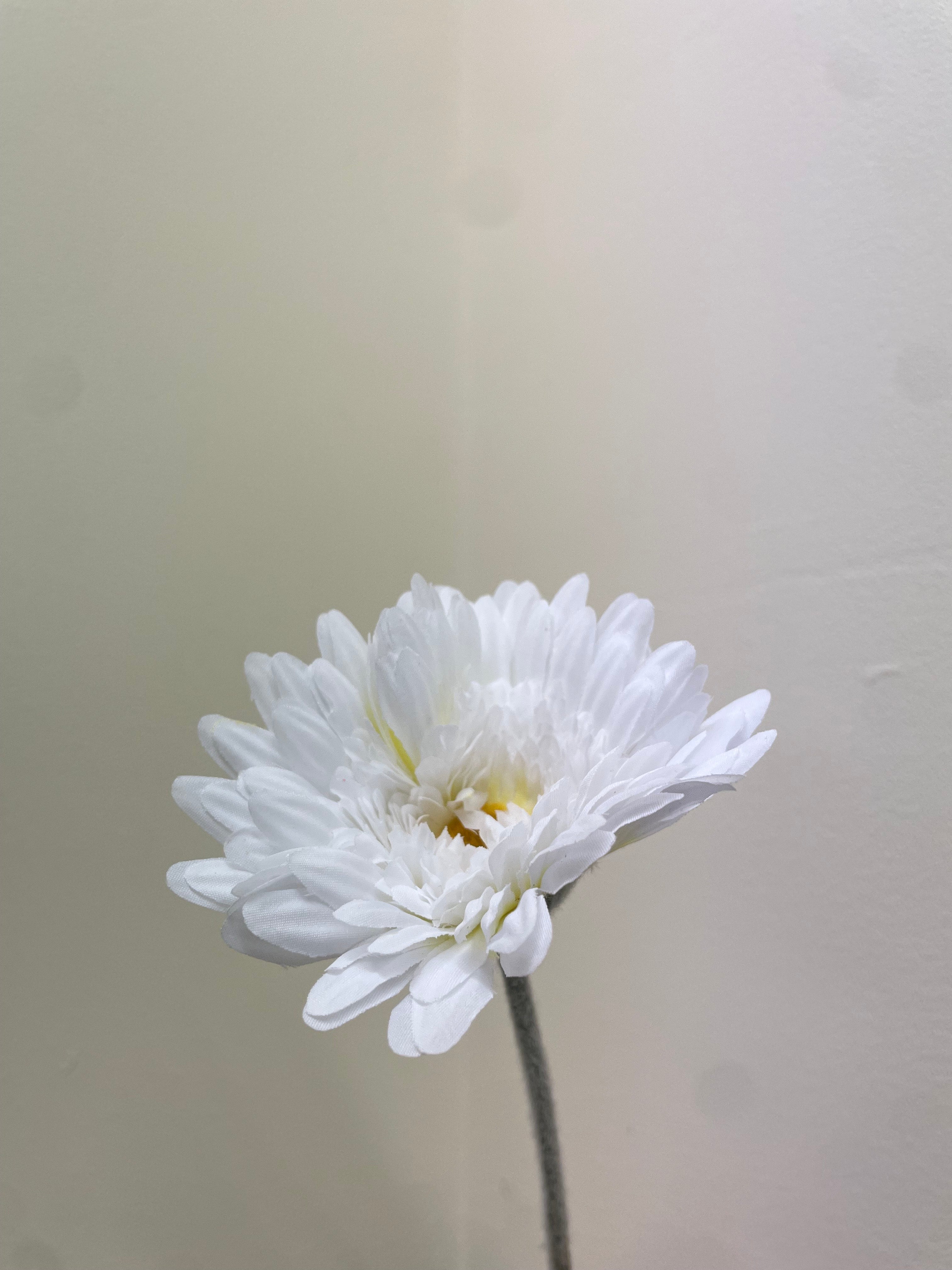 Artificial Silk Gerbera Flocked Stem