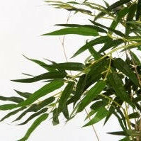 Showing close up foliage of our hand built Artificial Bamboo Tree