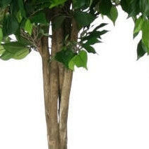 Artificial Silk Ficus Natasha Tropical Tree