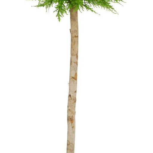 Artificial Cedar Single Ball Tree in Lead Look Planter