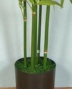 Artificial Bamboo Trees
