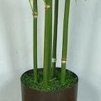Artificial Silk Bamboo Tree