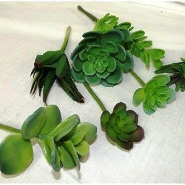 Artificial Succulents Assorted Mix