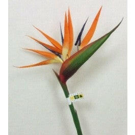 Artificial Bird of Paradise Flowers