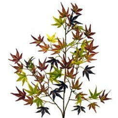 Maple Japanese Mini Leaf Spray
