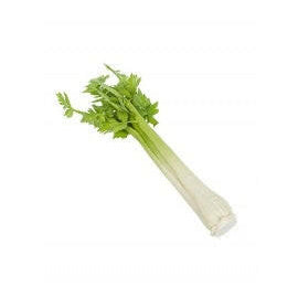Artificial Celery Natural Touch