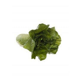 Artificial Romaine Lettuce Natural Touch